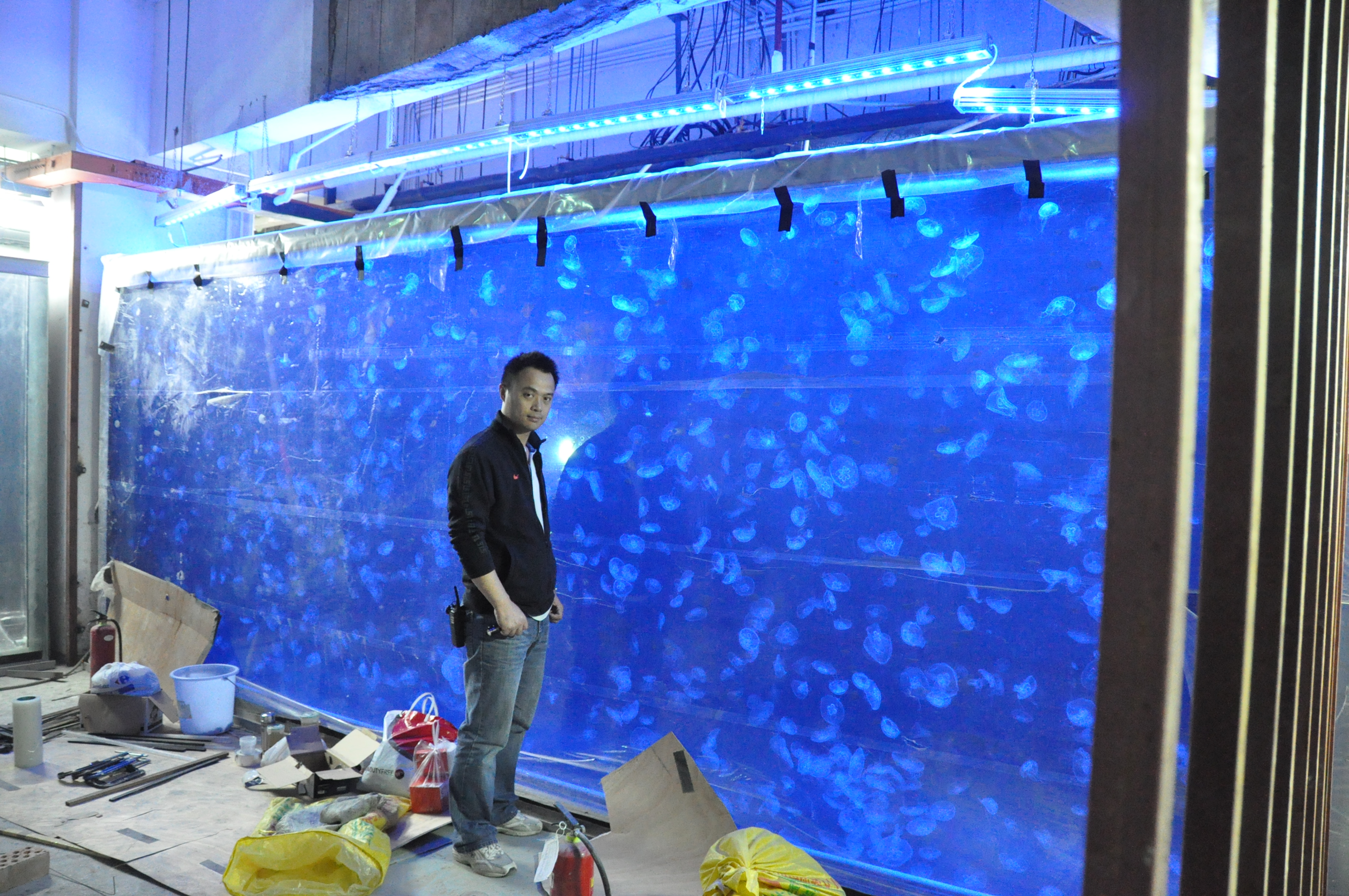 te whakaurunga tank ika kiriaku nui