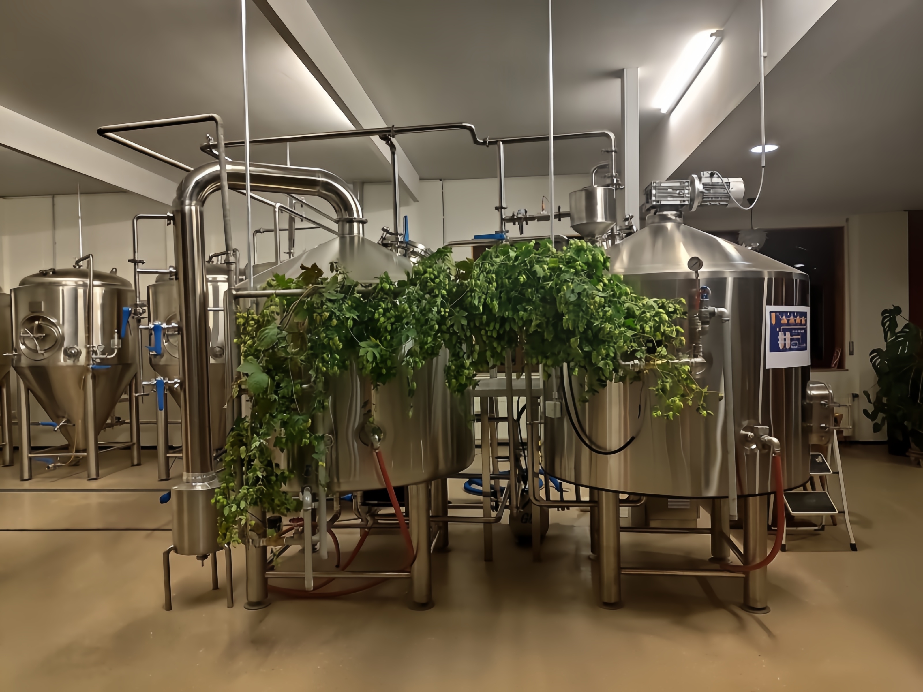 Passing the Ultimate Test: A TÜV-Inspected 1500L Brewery for the German Heartland 최고의 테스트 통과: 독일 본토의 TÜV 검사를 받은 1500L 양조장