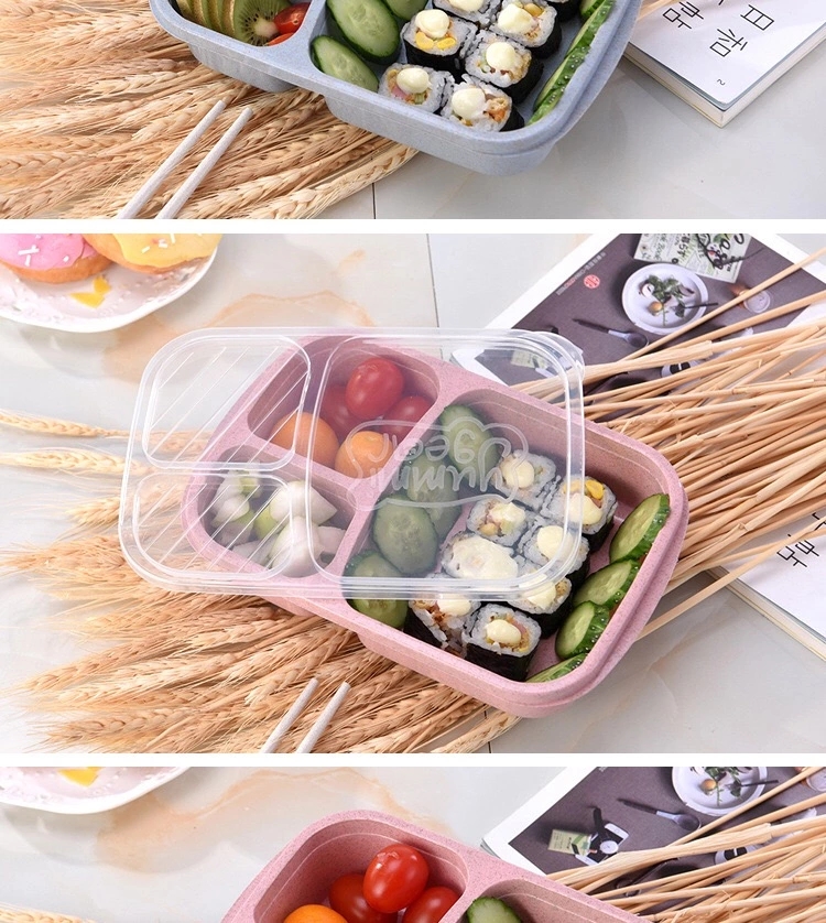 PP Easy Carry Wheat Straw Kids Bpa Free Bento Lunch Box with Lid - Buy ...