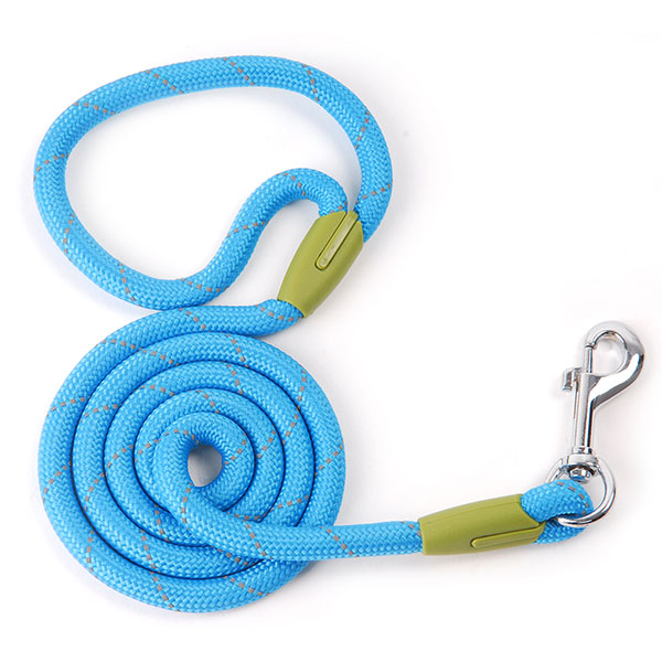 Leash
