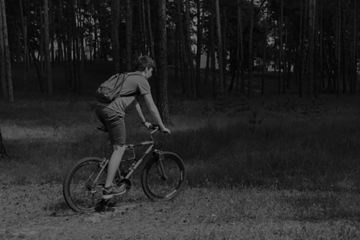 OEM/ODM elektrick&yacute; bicykel