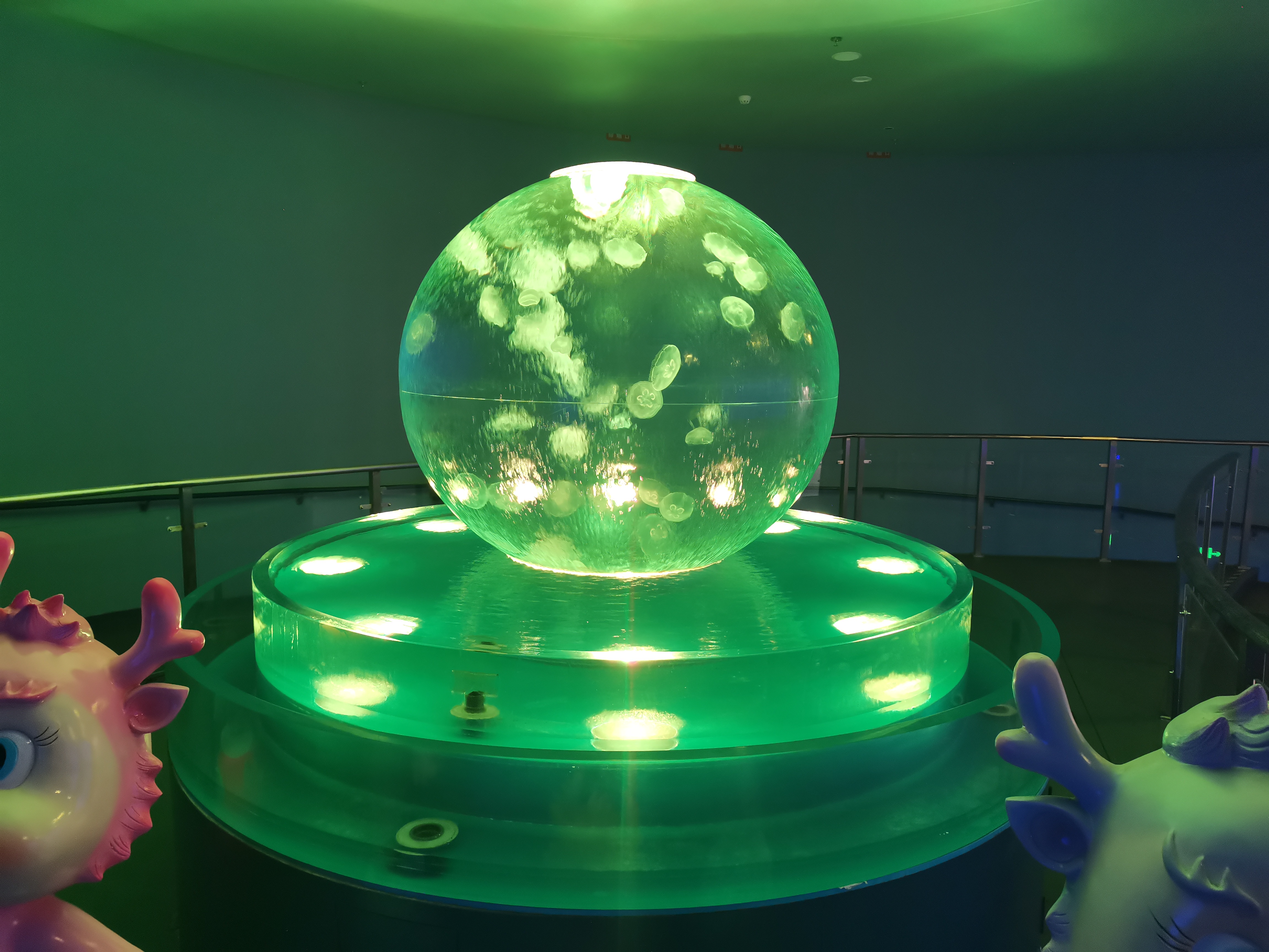 Akrylowy zbiornik na meduzy - LEYU