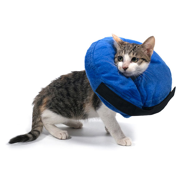 Pet multi-function protective inflatable collar