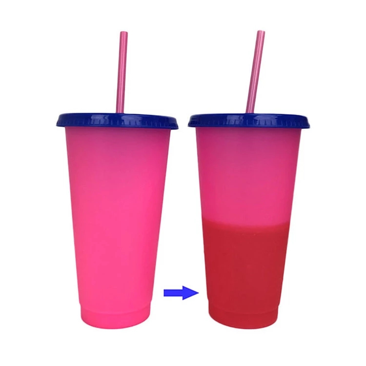 700ml Hot Sale Custom Cold Water Plastic Color Change Mug with Straw ...