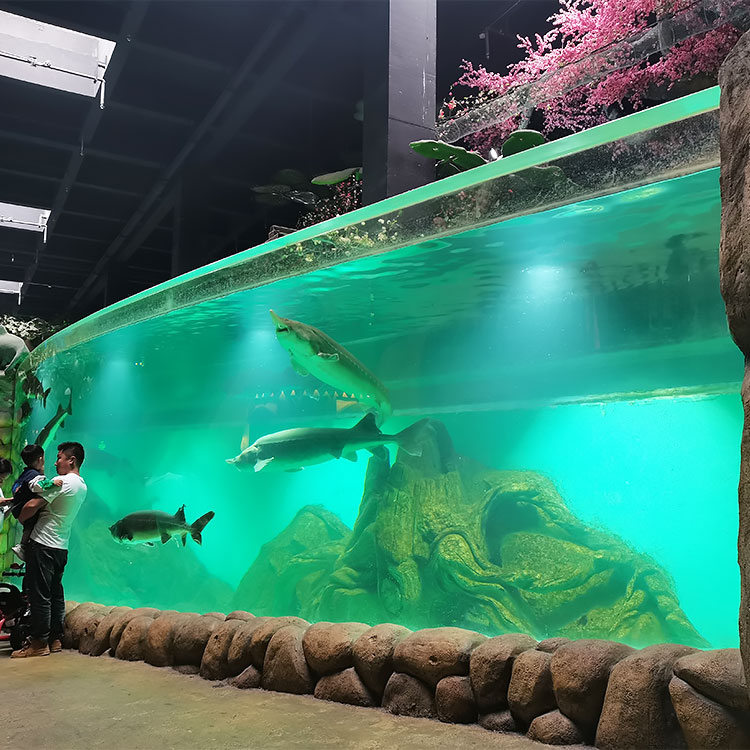 Feuilles acryliques pour aquarium