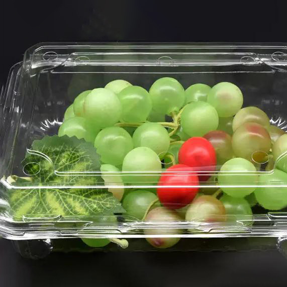 PET plaatverpakking en toepassing van thermogevormde trays