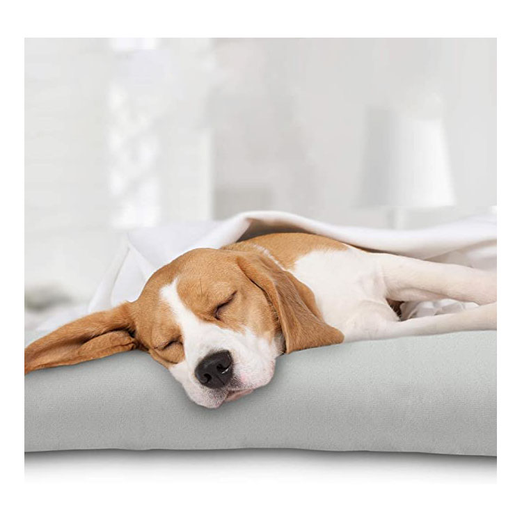 2022 Hot Low Price Foldable Travel Outdoor Large Solid Gel Based Self Cooler Dog Pet Bed
