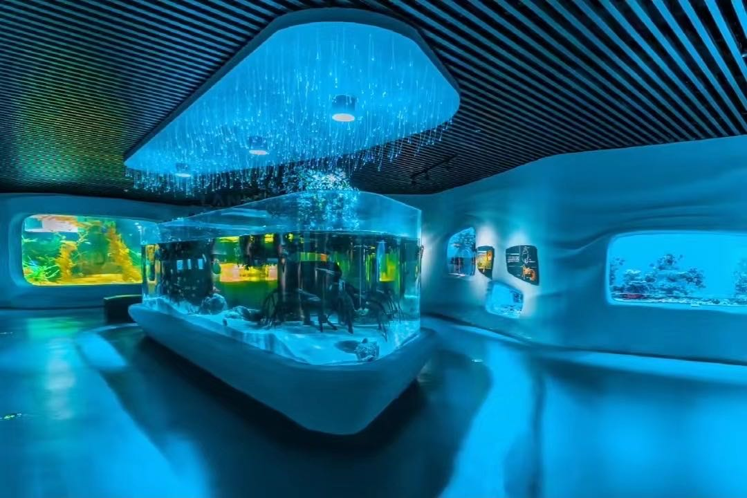 Tanka mas&icirc; ya xwer&ucirc; ya acrylic - kargeh