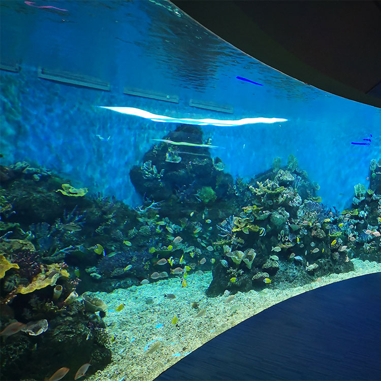 아크릴 수족관 창 - 제조