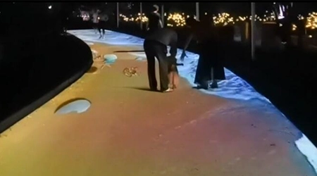 تطبيق جهاز عرض الأرضية التفاعلي - الحديقة