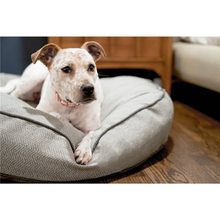 Hot Sale Big Modern Sleeping Orthopedic Memory Foam Dog Bed