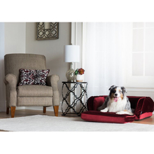 CPS-hot Sale Orthopedic Luxury Modern Foldable Big Fluffy Pet Sofa Dog Bed
