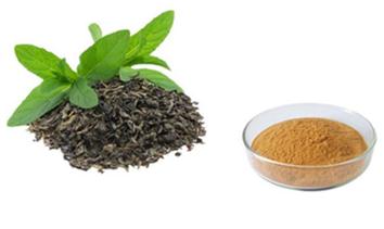 Estratto di t&egrave; verde182