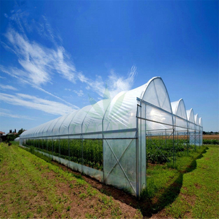 Multi Span Sawtooth Greenhouse