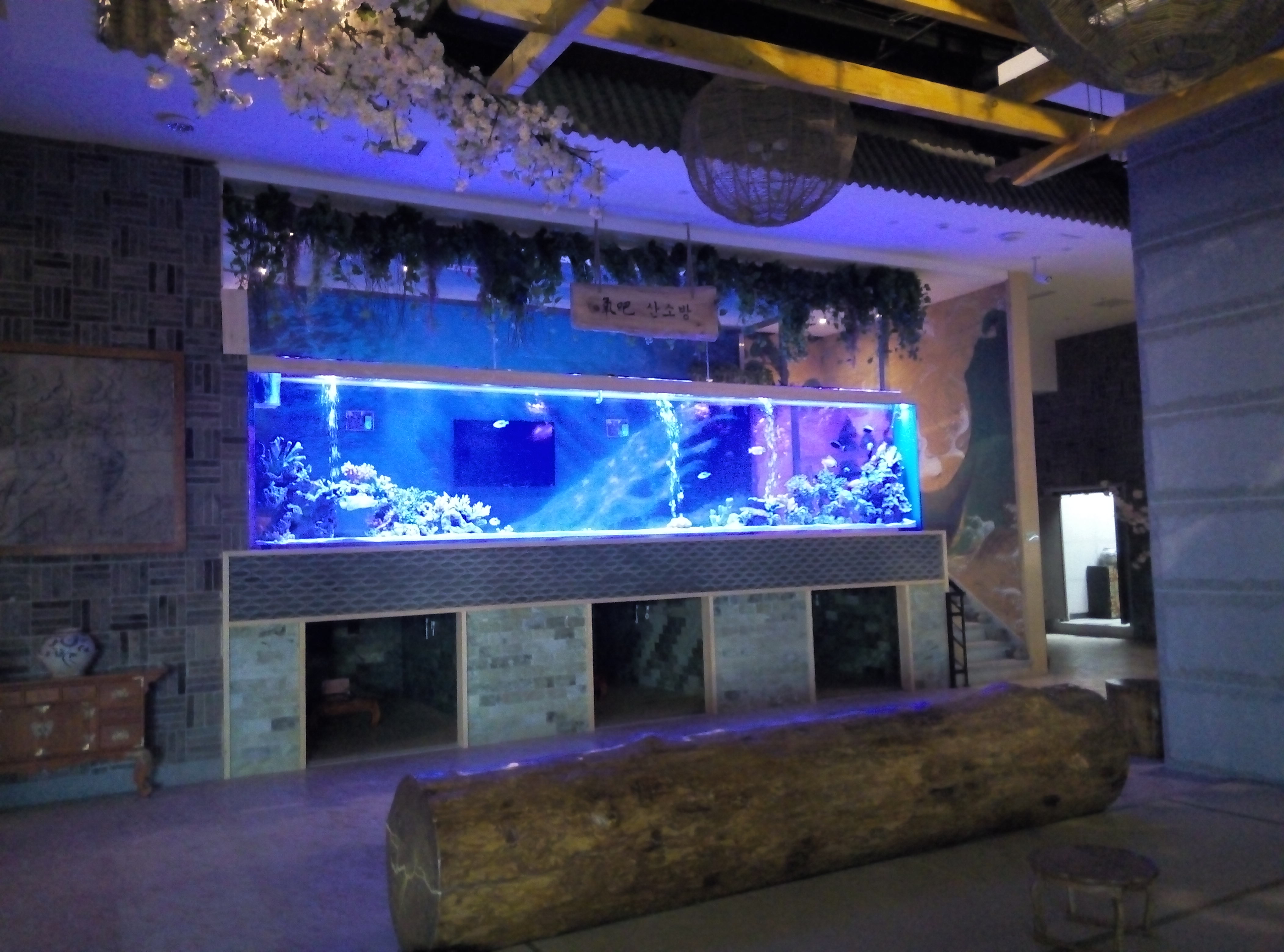 Akryl tilpasset fisketank - fabrikk