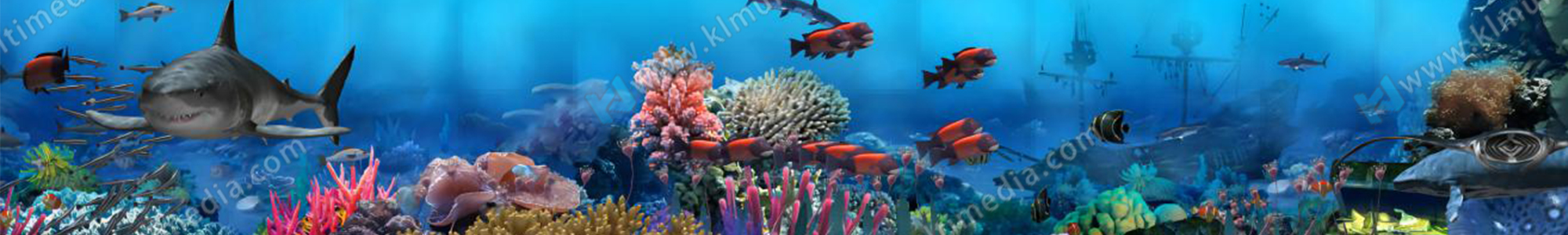 Projection mapping content2