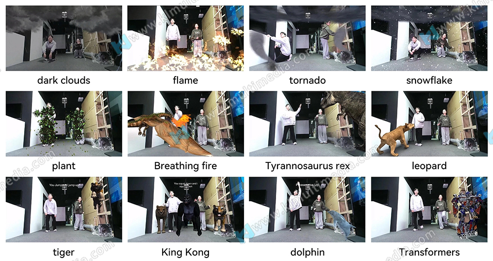 Augmented Reality Zoo