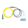 MPO&MTP Solution 8F/12F/16F/24F MPO&MTP OS2 3.0mm
