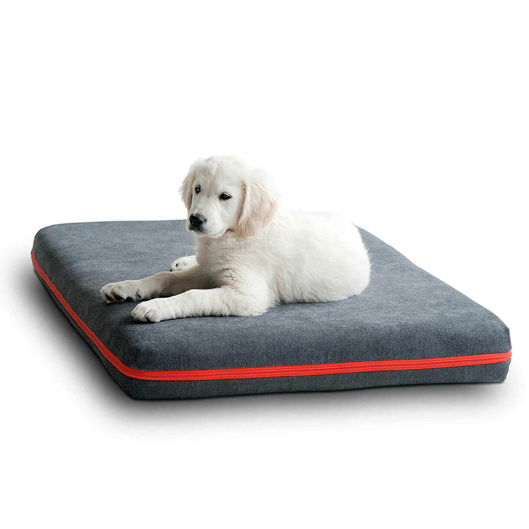 All Weather Hard-wearing Faux Suede Memory Foam Dog Bed with Removable Zipper
