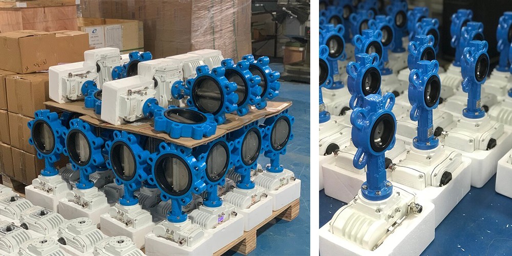 Lug vs Wafer Butterfly Valves Perbandingan Teknikal Reka Bentuk, Prestasi dan Aplikasi-3