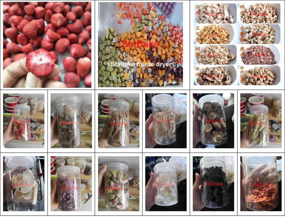 Vacuum Freeze Drying Machine