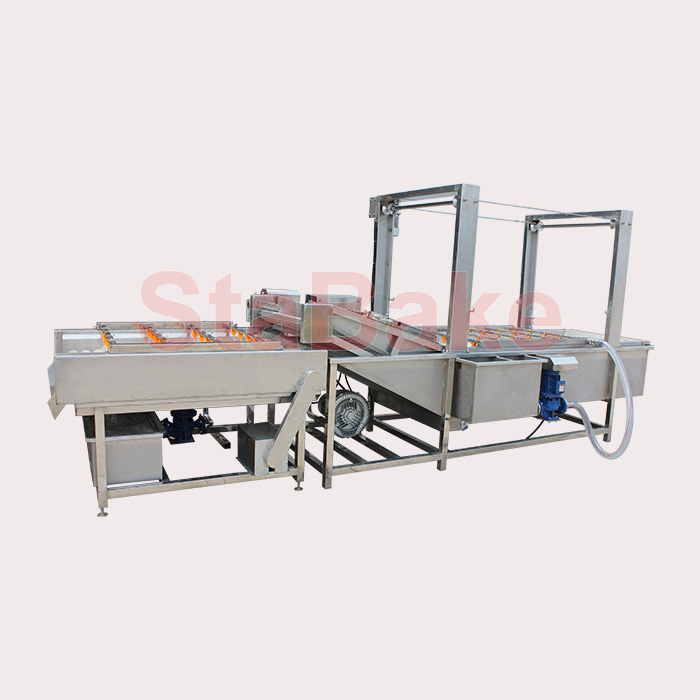 fruit and vegetable washing line