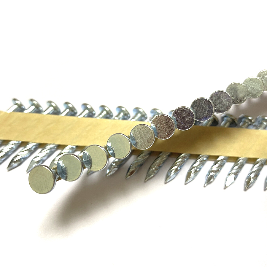 Pilna apaļa galva – kods apzīmogots