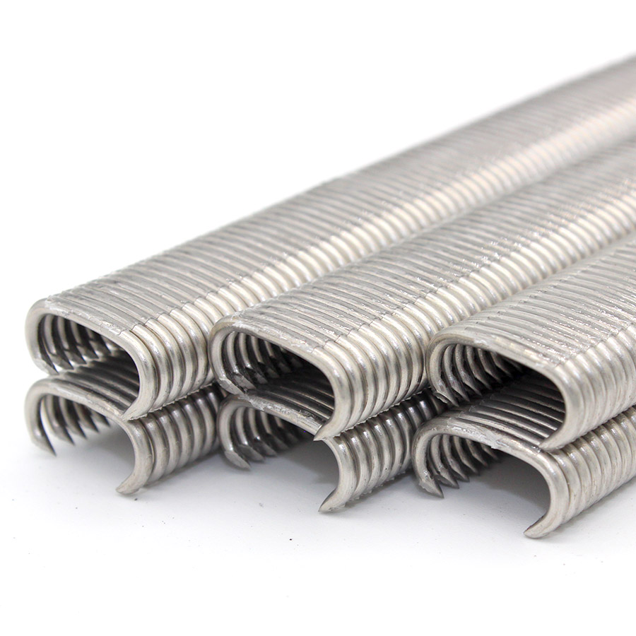 F&aacute;inn&iacute; muc cruach dhosm&aacute;lta 516SS100 1/2 chor&oacute;in