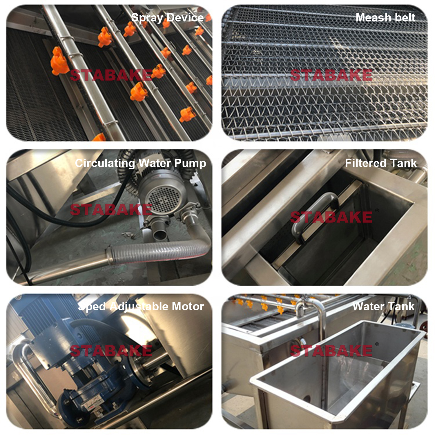 vegetable cleaning processing machine副本