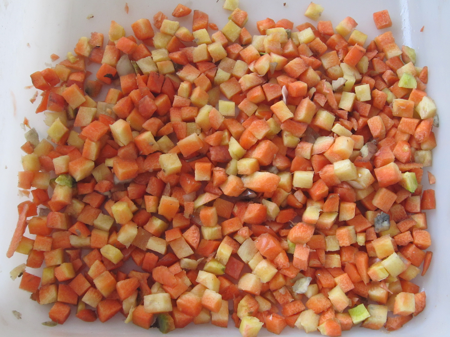 Carrot Dicing machine