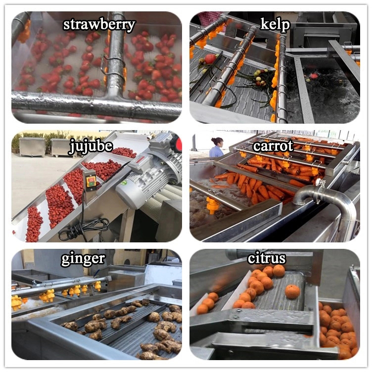 Fruit And Vegetable Washing Processing Machine