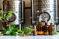 //a3.ldycdn.com/cloud/pjBpjKqlllSRplionmlrip/Botanical-Extract-Fermentation-Process.jpg