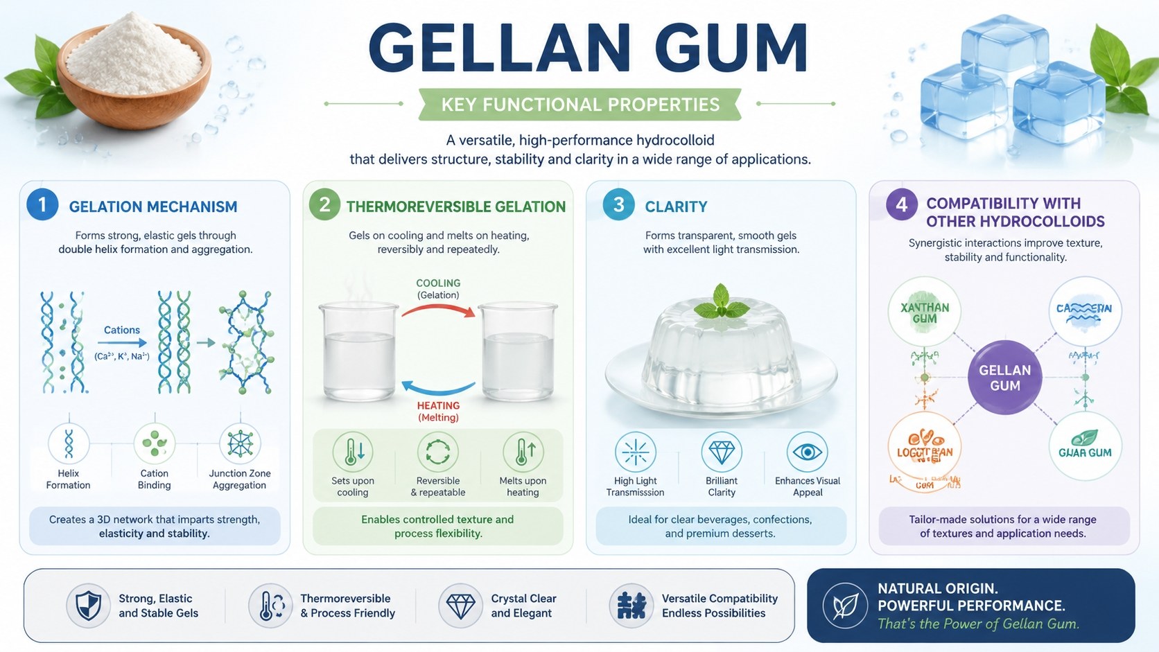 Aplikace gumy Gellan v potravin&aacute;řsk&eacute;m a farmaceutick&eacute;m průmyslu