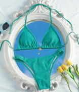 Zils bikini.jpg