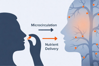 //a3.ldycdn.com/cloud/plBpjKqlllSRplnronjmip/Beauty-From-Within-Microcirculation-Pathway.jpg