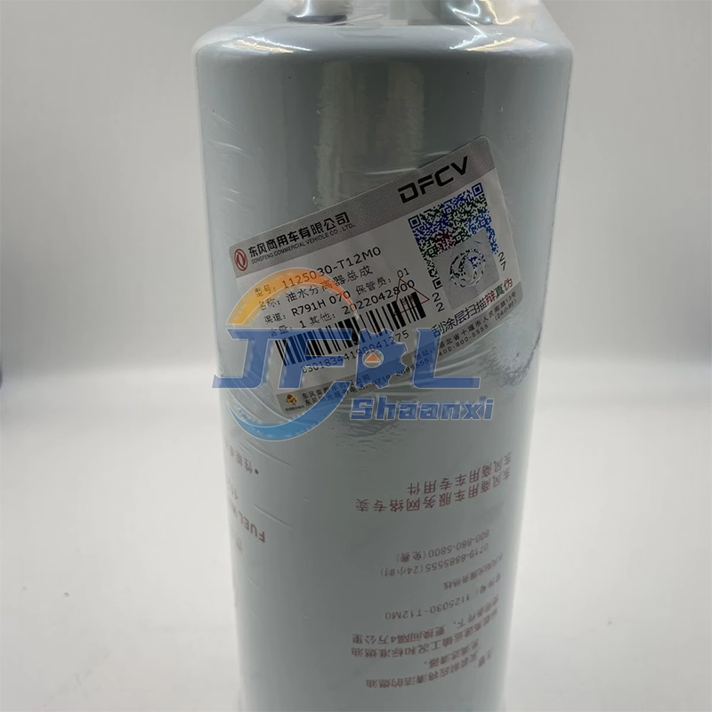 1125030-T12M0 Module de commande FS20133 (6)