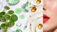 //a3.ldycdn.com/cloud/poBpjKqlllSRmlmkmprmim/Asiaticoside-And-Vitamin-K-Ingredient-Comparison.jpg