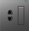 1 Gang 2 PIN Plating S9 Newest Design Switch Socket