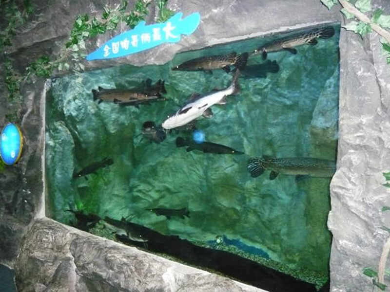 Υποβρύχιος κόσμος Ningbo Kamikaze